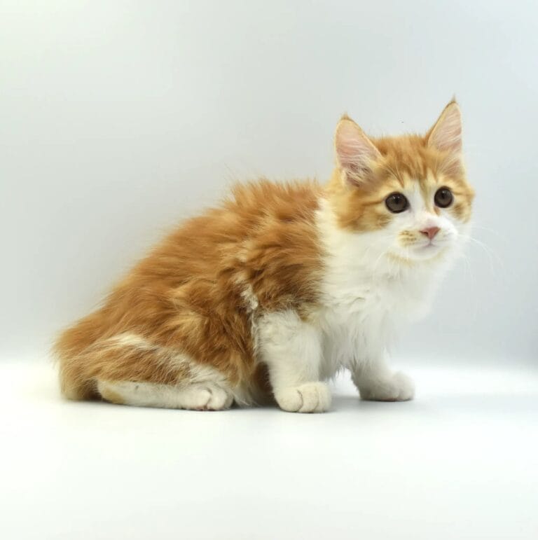 329141559 716047843555724 7687022052258492776 n