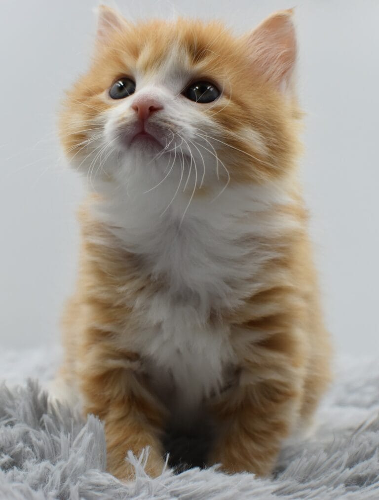 362941181 760889742707436 264195826015870445 n