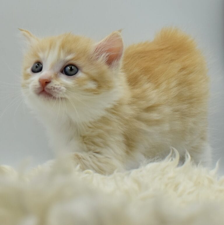 362985860 760889969374080 1357720270428519545 n