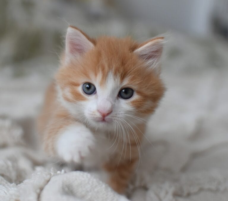 365637575 760889776040766 2405407662746478098 n