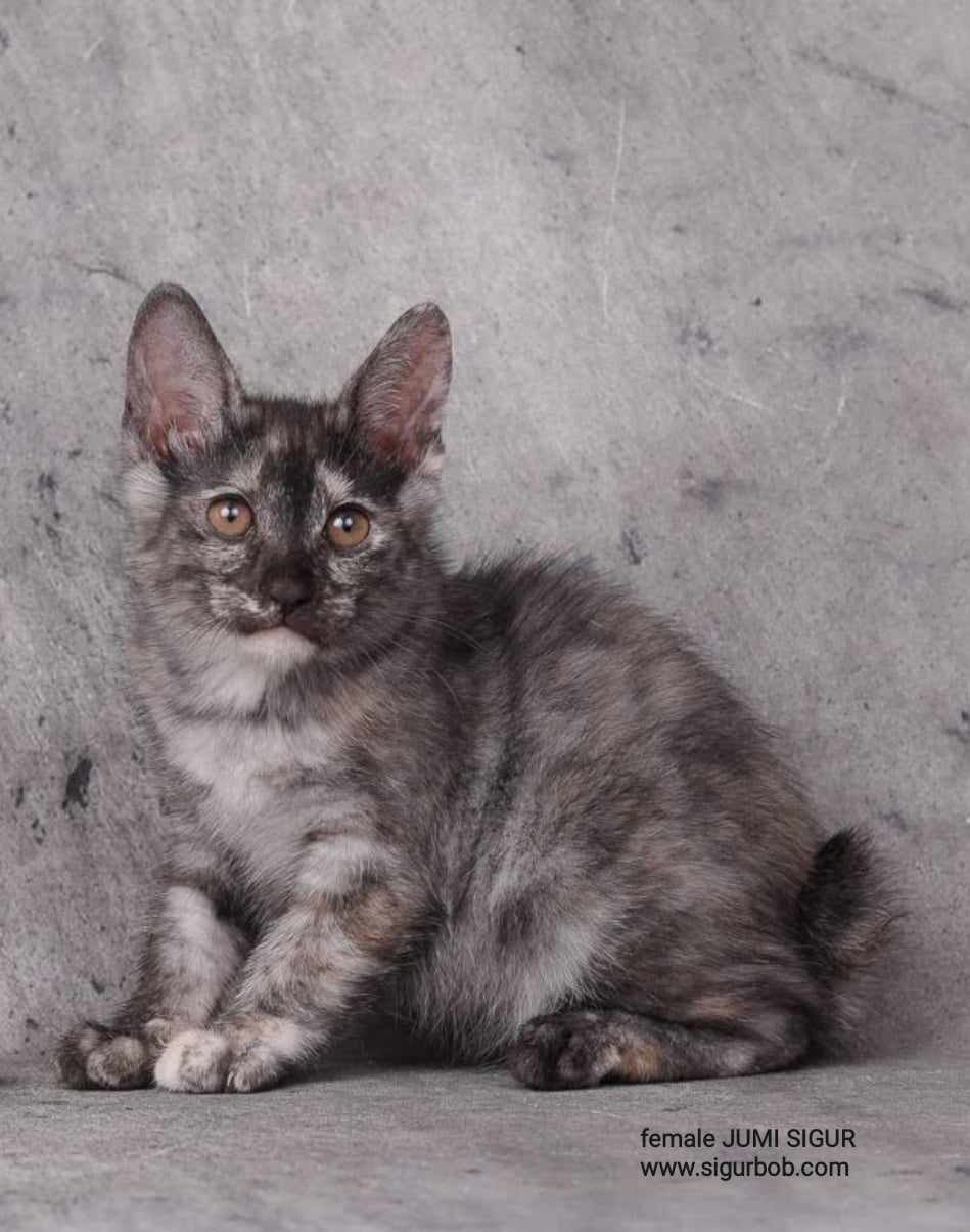 368917922 696365842311342 2050183106890063105 n