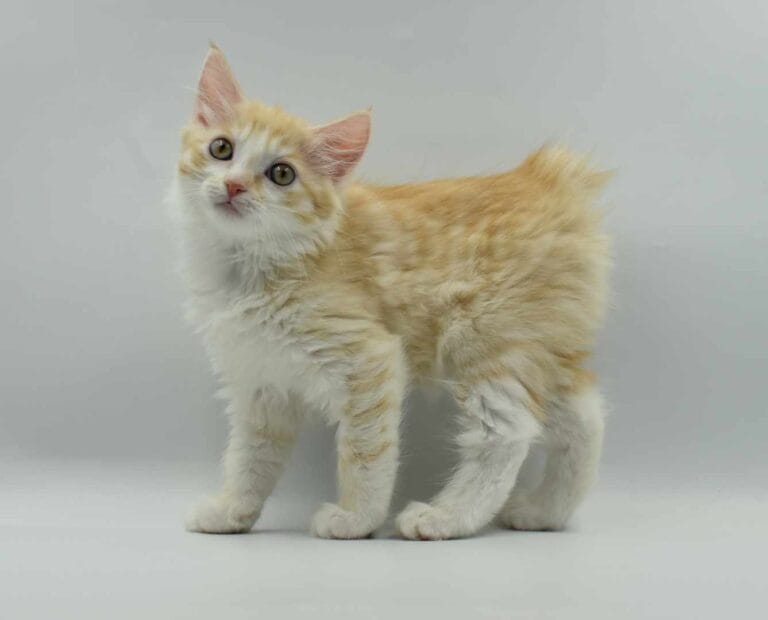 371454214 1396642694450842 2889571730541368189 n