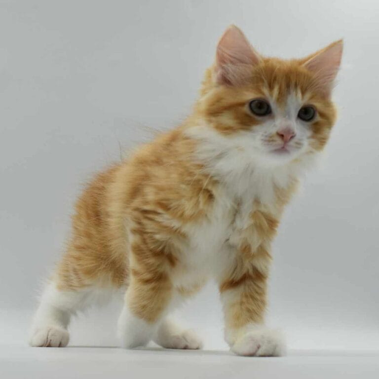 371540050 864169515303728 6514419098660638133 n e1695495663299