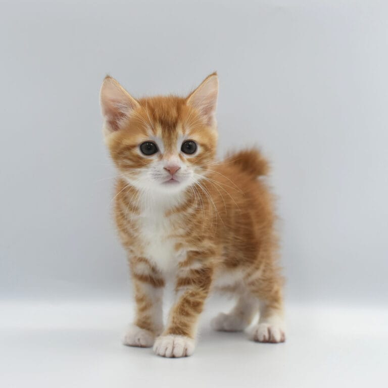 Miot M 2 2 scaled e1727802991935