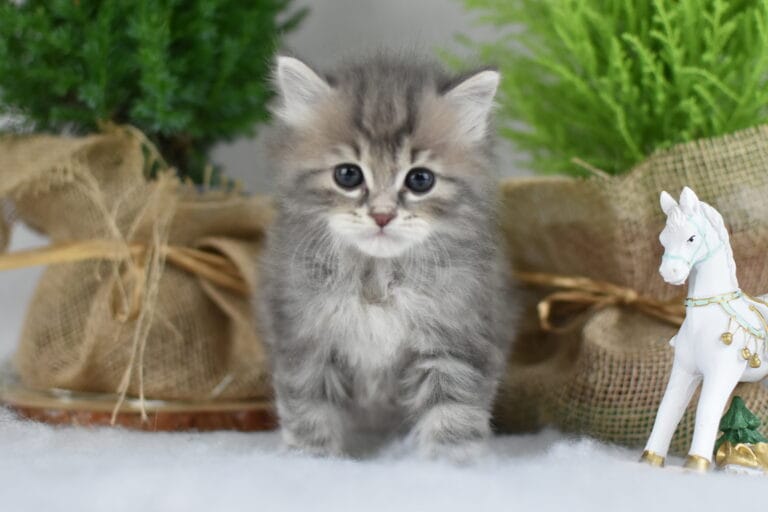 Franek Miot F2 1 scaled